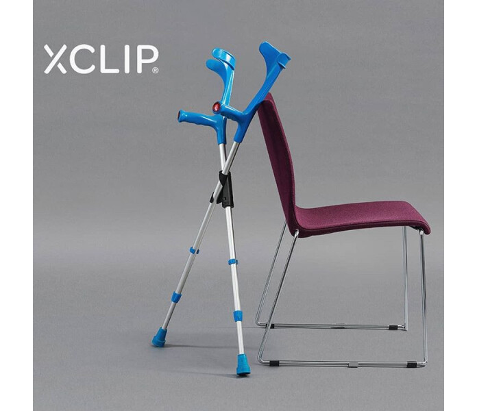 XCLIP image
