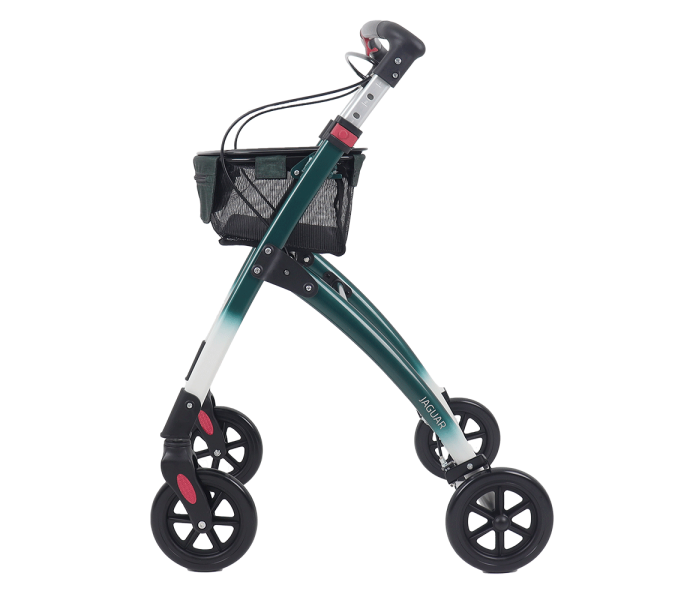 312417 jaguar sideview 14911 kuva