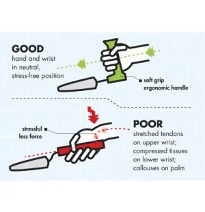 Lyhyt istutuslapio kuva