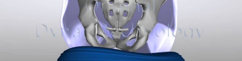 Ergonomia Ergonomia